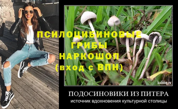 круглые Заводоуковск
